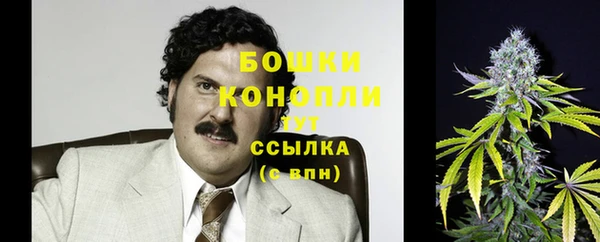 стаф Карпинск
