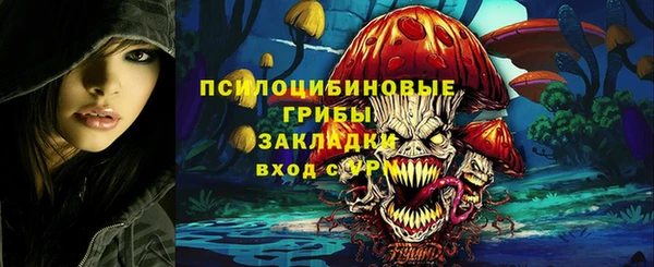 крисы Кукмор
