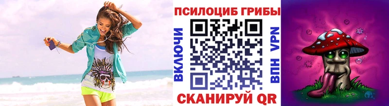 Галлюциногенные грибы прущие грибы  KRAKEN ссылка  Шумиха  где продают  