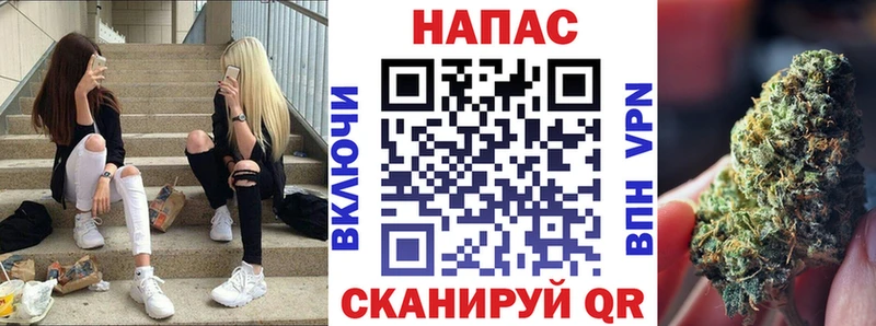 kraken вход  Шумиха  Марихуана сатива  как найти  